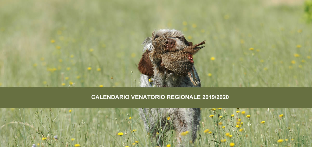 Calendario venatorio regionale 2019/2020