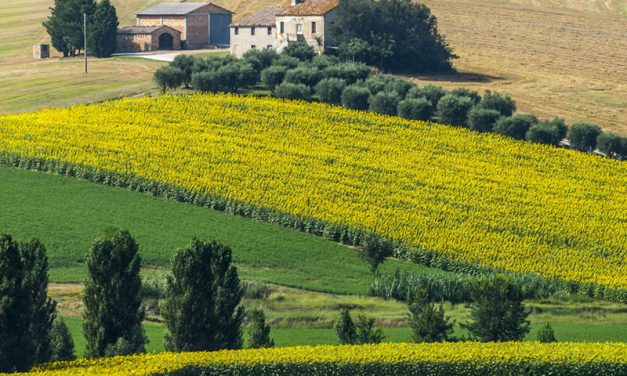 Avviso Operatori turistici e/o agrituristici