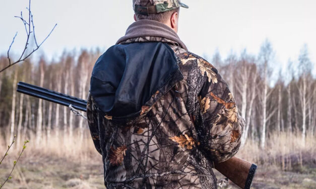 Avviso per i selecontrollori – Proroga