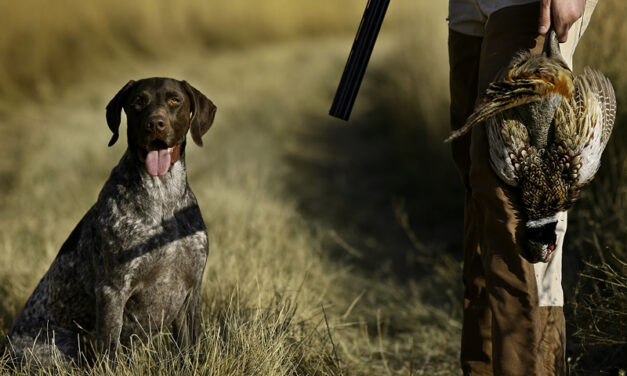 Avviso Stagione Venatoria 2022/2023