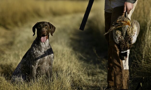 Versamento quote accesso venatorio – Stagione venatoria 2022/2023