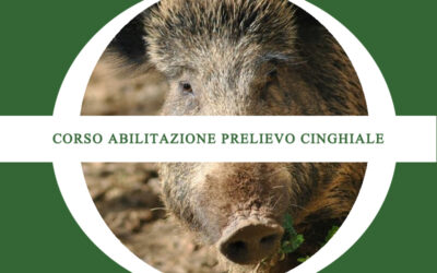 Corso di abilitazione prelievo cinghiale