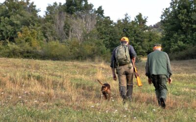 Corso conduttore cane limiere