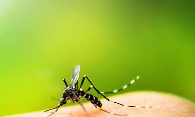 Piano di sorveglianza virus WND E USUTU