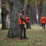 Caccia al cinghiale 2023-2024