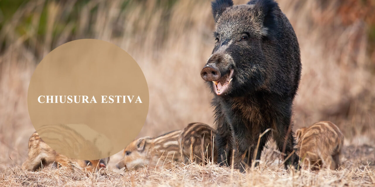 Chiusura estiva
