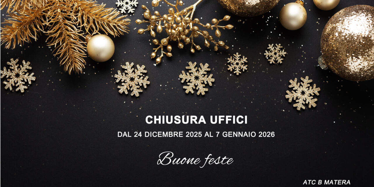 Festività natalizie 2025
