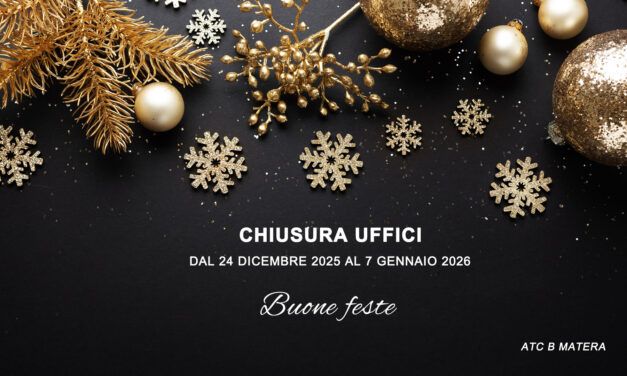 Festività natalizie 2025